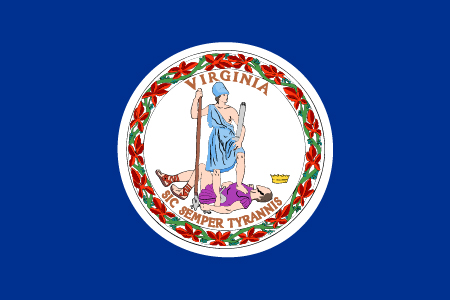 CYBR_Data Privacy Flag_VA